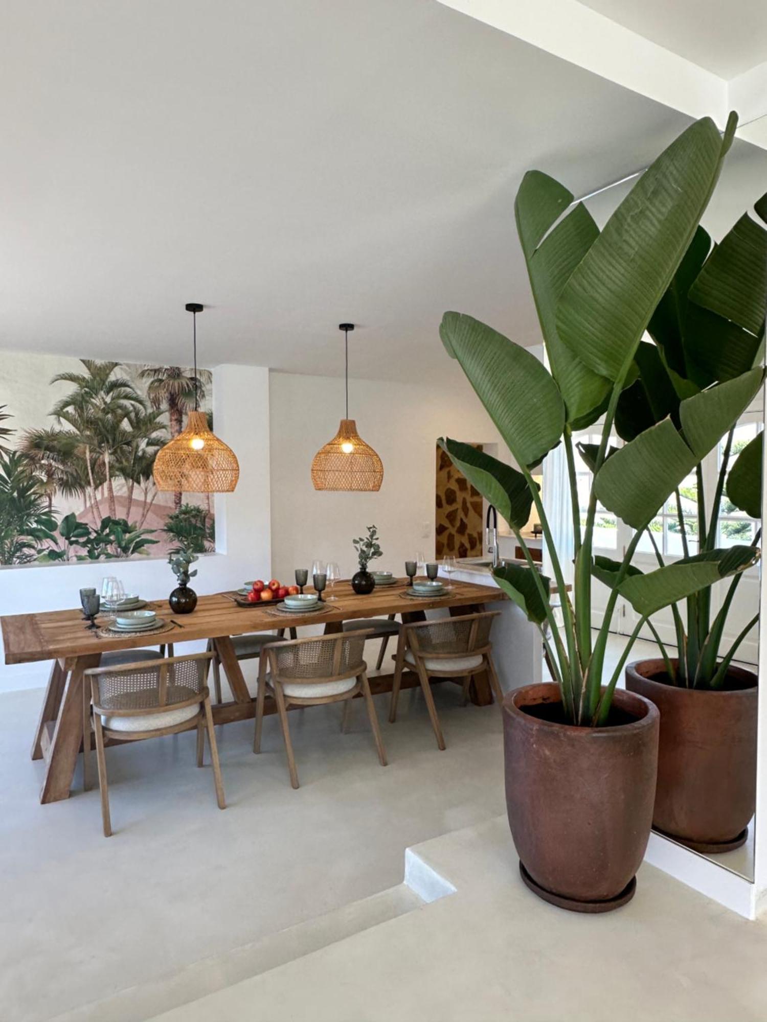 Apartamento El Pedregal - Olivo *