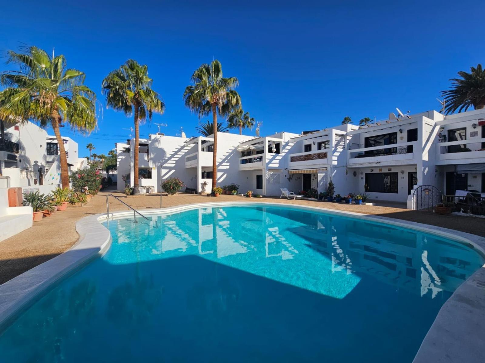 Buganvilla *