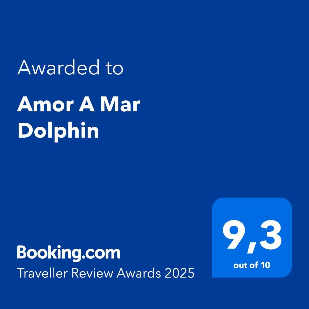 A Mar Dolphin * Puerto del Carmen (Lanzarote)