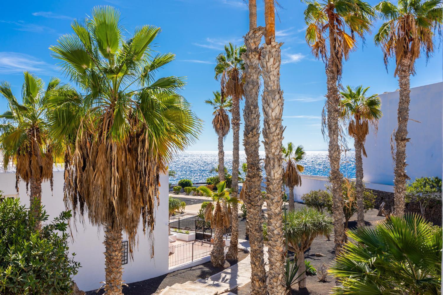 Jardines 2 * Puerto del Carmen (Lanzarote)