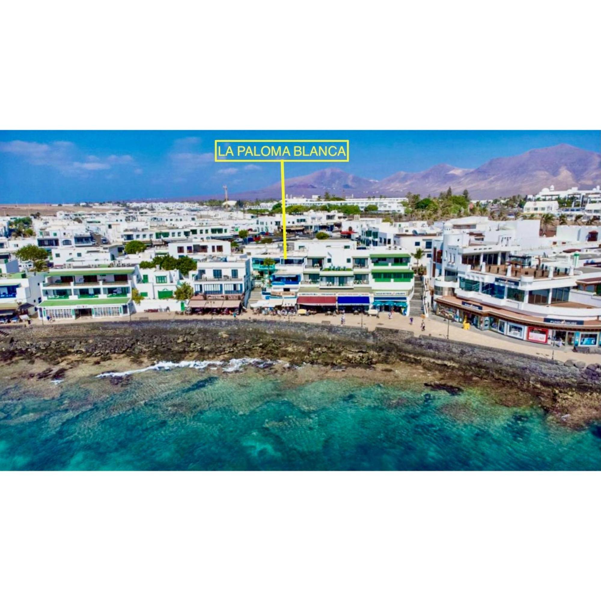 Apartamento La Paloma Blanca The White Dove Playa Blanca (Lanzarote)