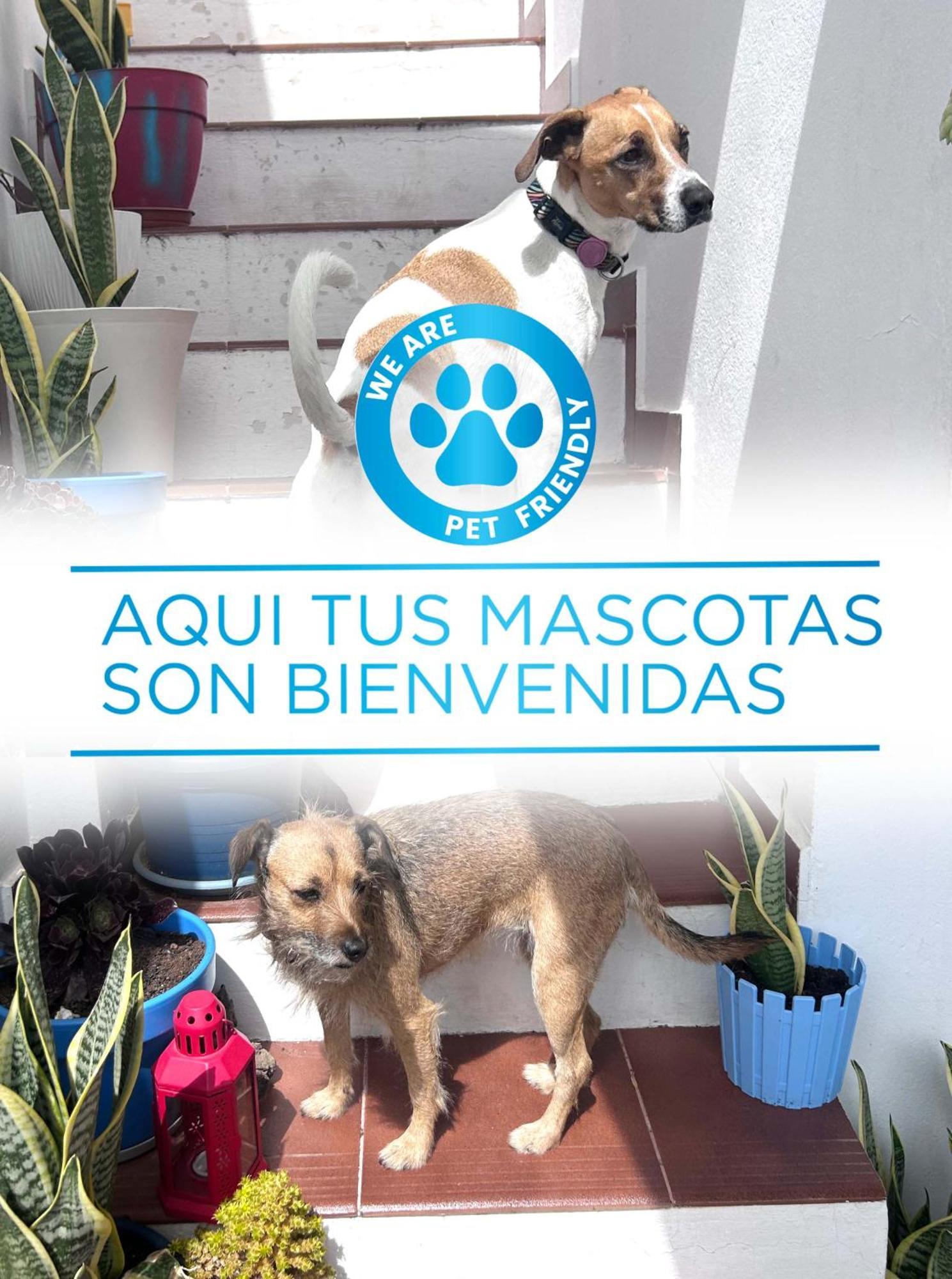 La Buganvilla Pensión