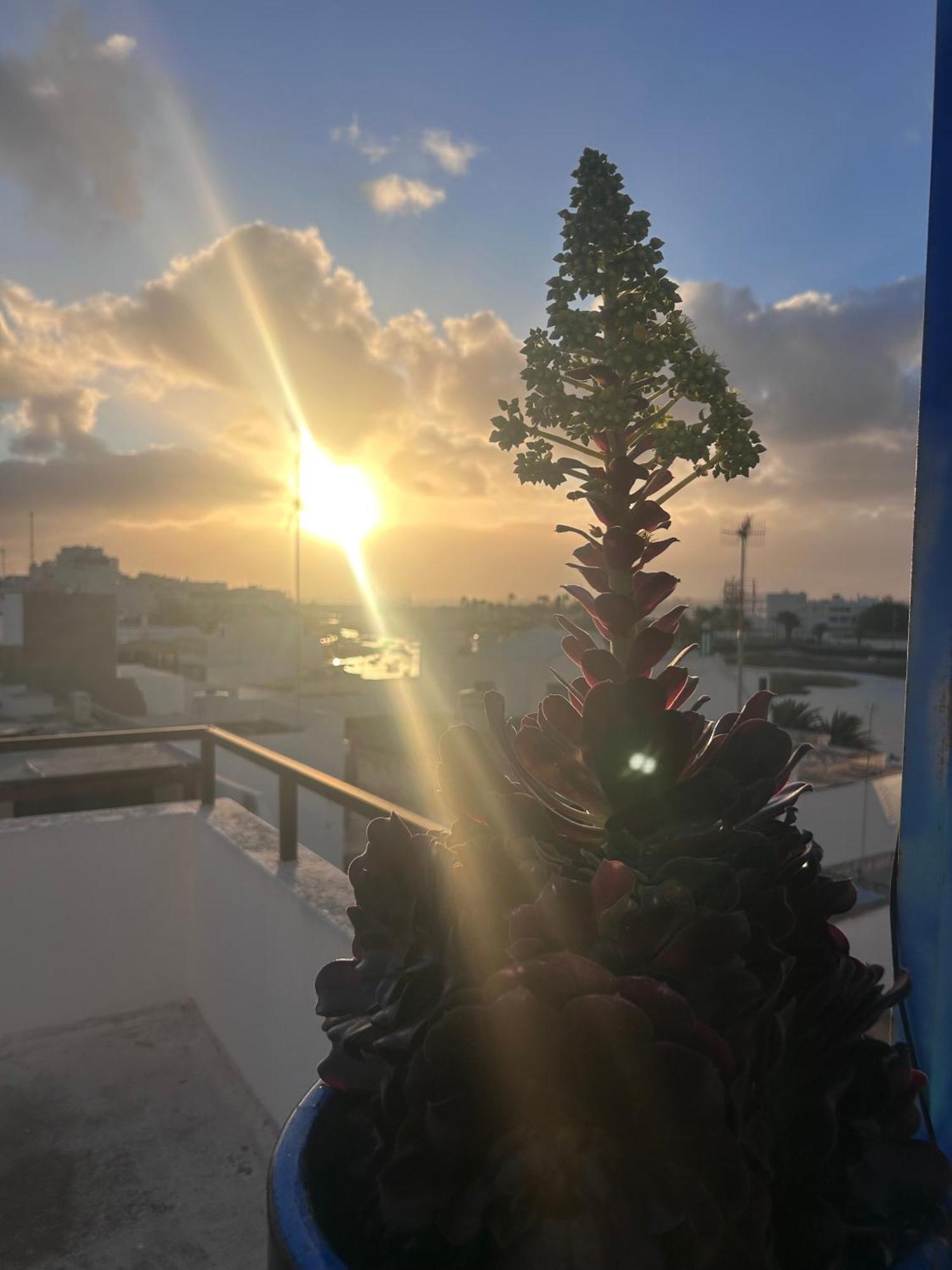 La Buganvilla Arrecife (Lanzarote)