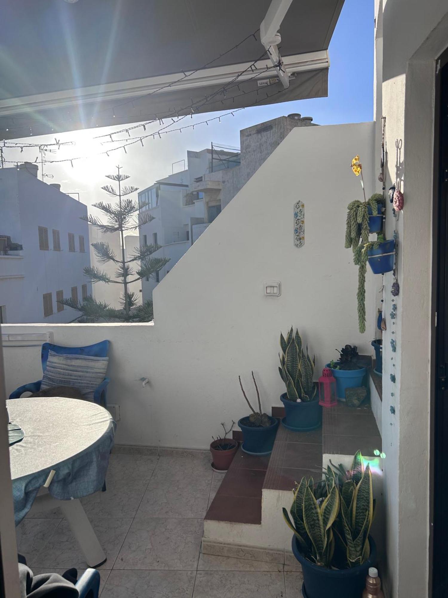 La Buganvilla *