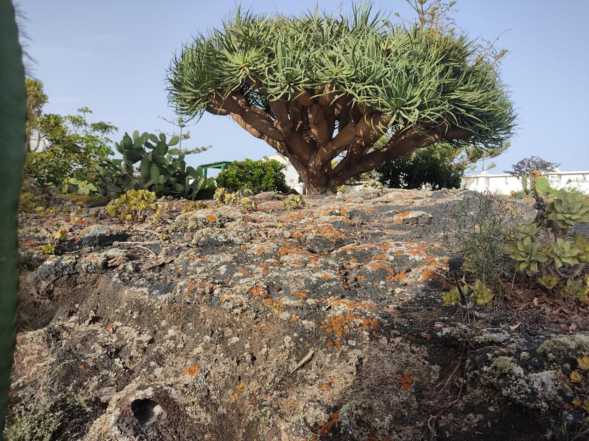 Casa Volcanica El Cabezo *
