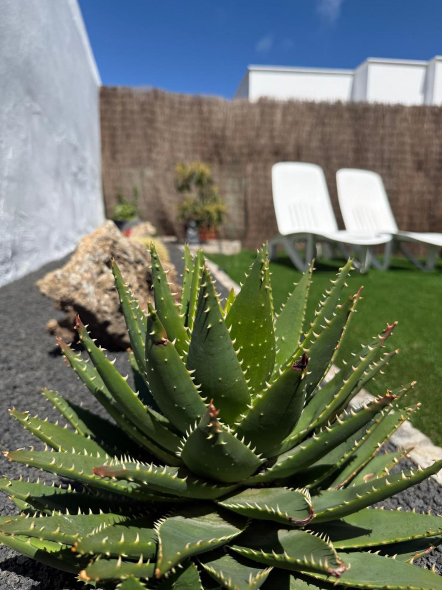 Casa Cira *