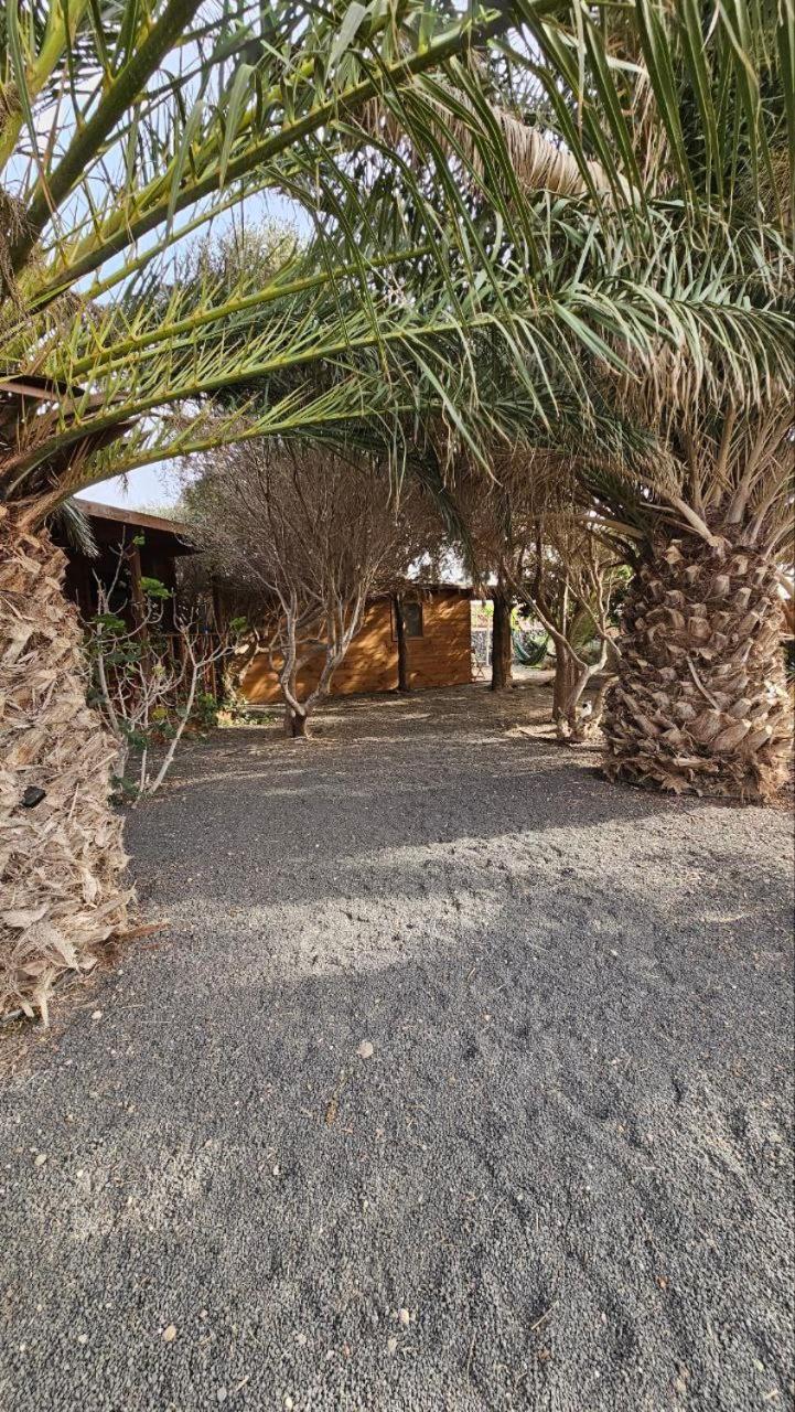 Cabanalanz, En Lanzarote Campsite San Bartolome (Las Palmas)