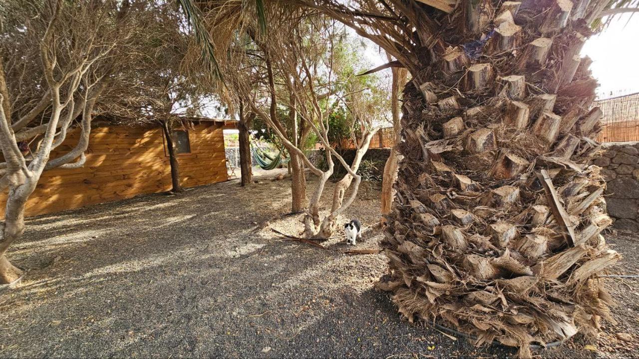 Cabanalanz, En Lanzarote San Bartolome (Las Palmas)