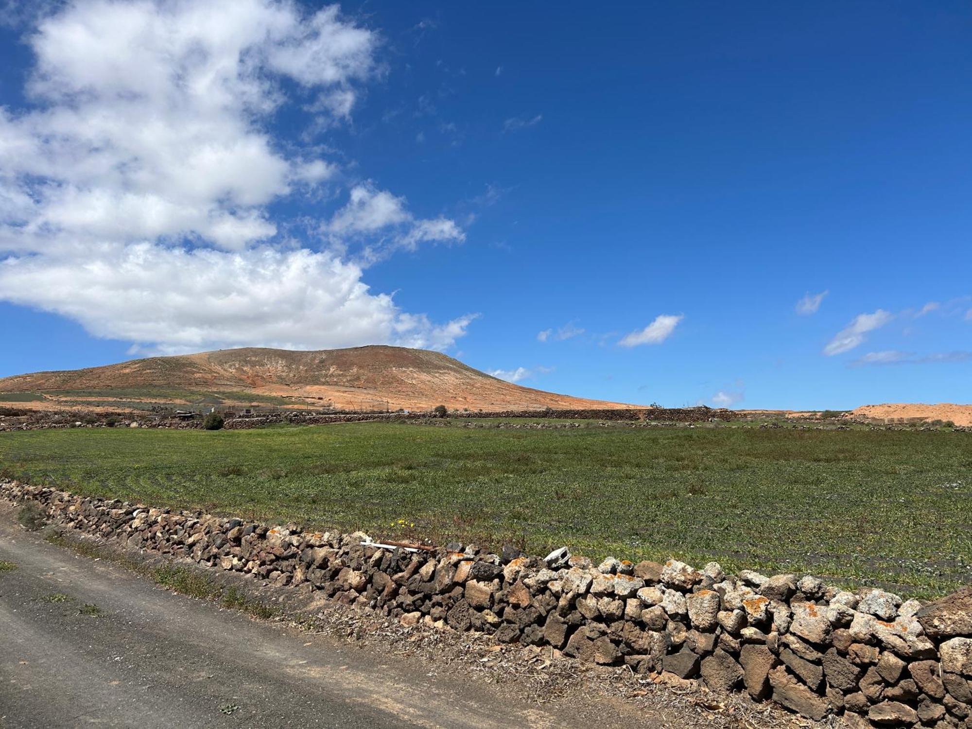 Sombra De Guanapay Teguise (Lanzarote)