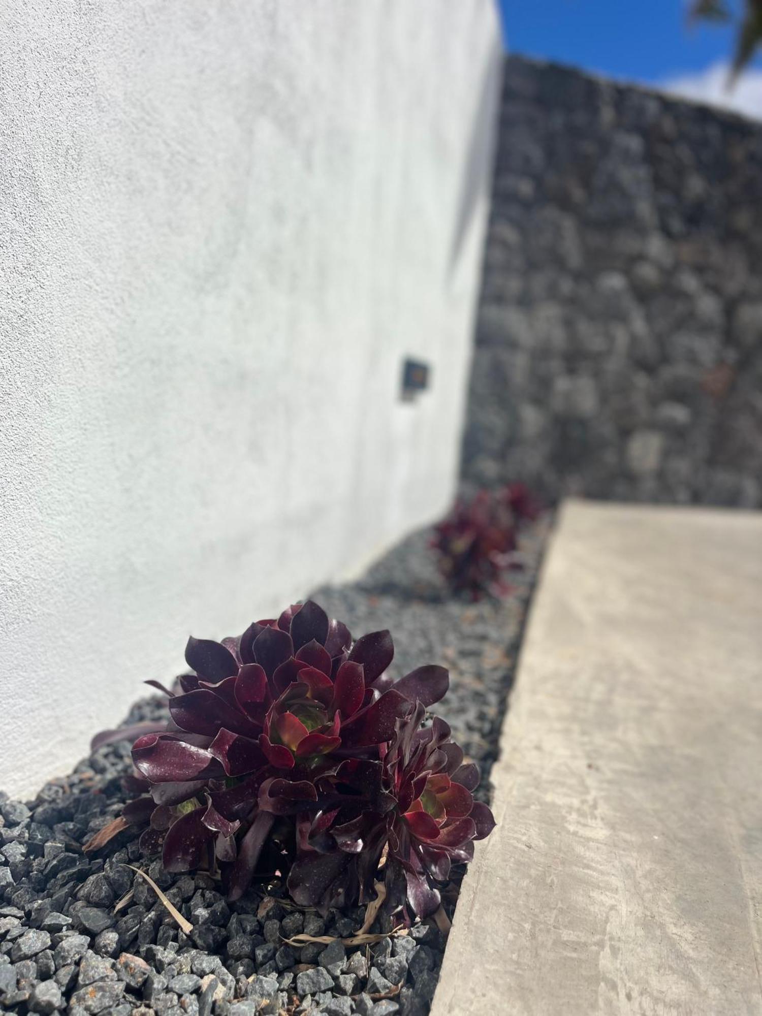 Apartamento Sombra De Guanapay Teguise (Lanzarote)