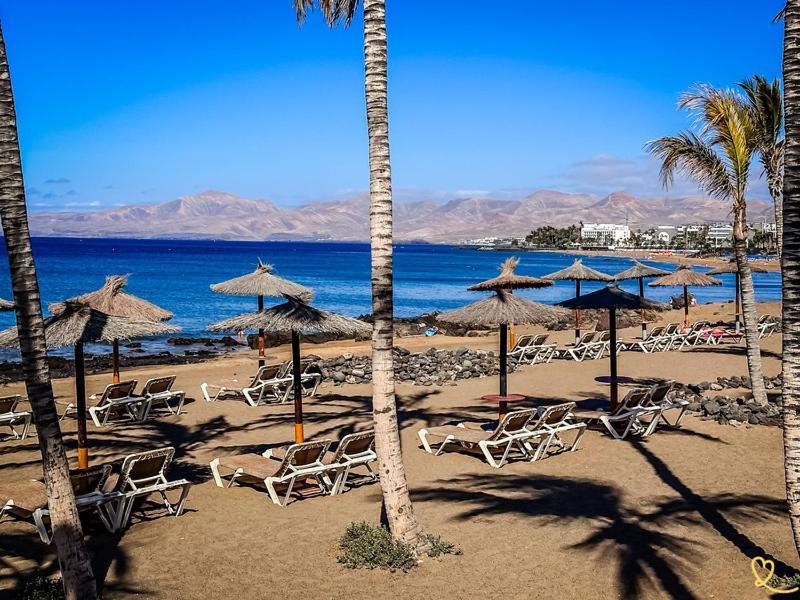 House Of Palm Apartment Puerto del Carmen (Lanzarote)