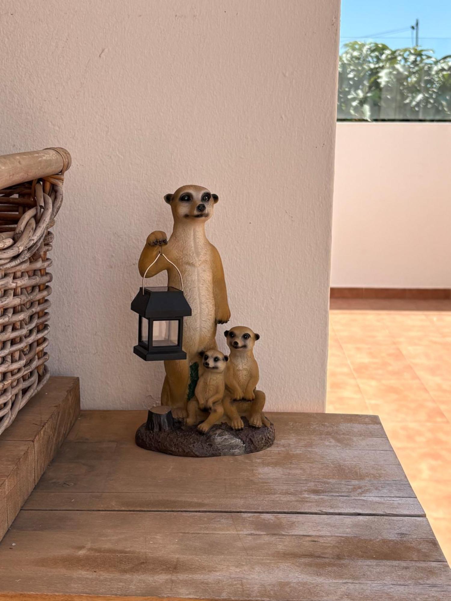 Casa Tipica Canaria *