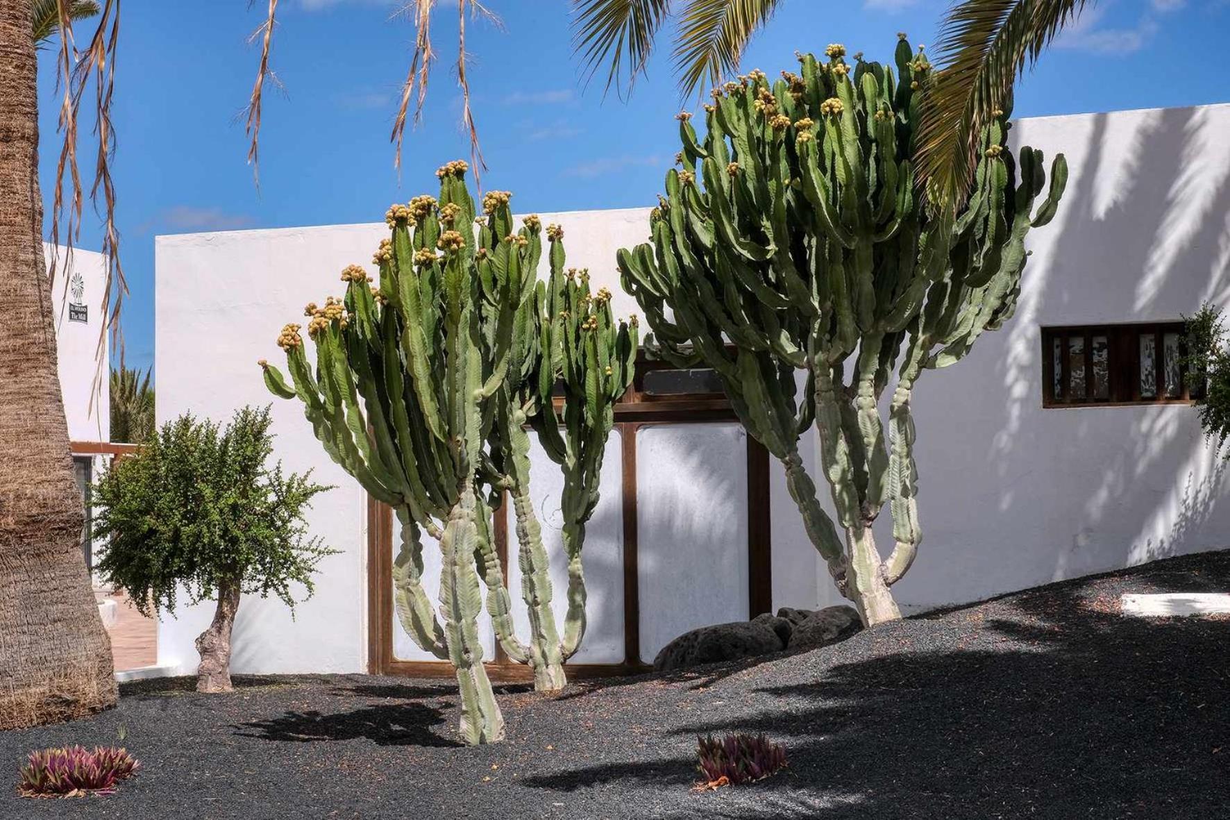 Molinos Luxury Y Relax Сasa de vacaciones