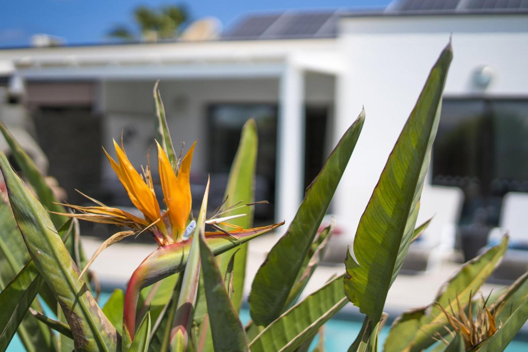 Extraordinary 3 Bedrooms Naraku Spacious Sun Terrace Outdoor Pool, Hot Tub And Bbq * Playa Blanca (Lanzarote)