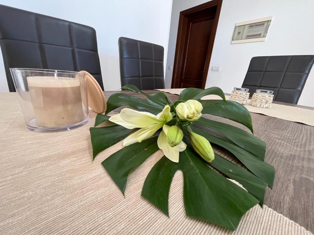 Holiday home Aloe 4