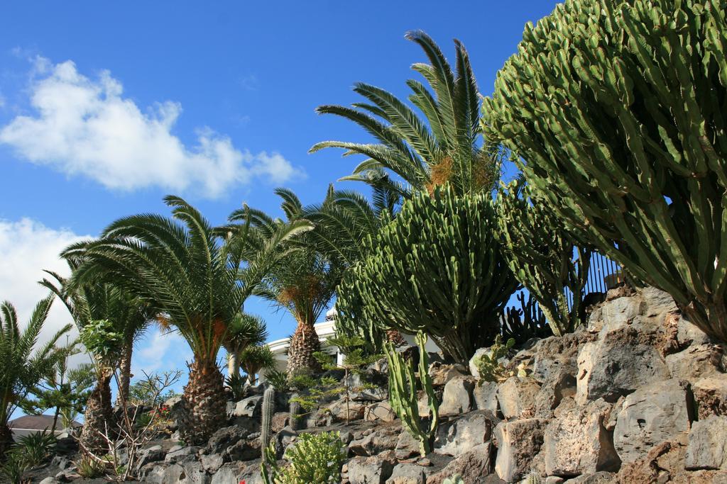 Villa Casa Ronda *