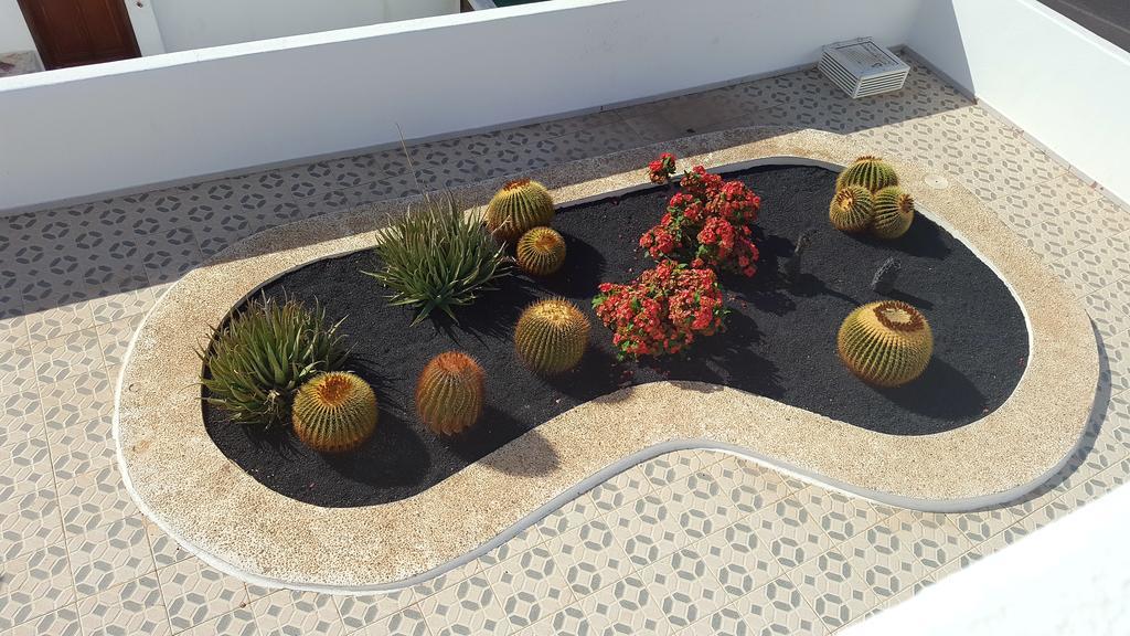 Apartamento Panelo Cactus