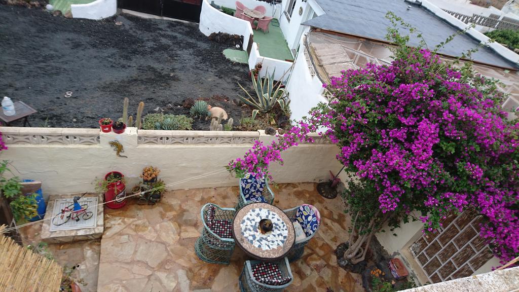 Casita De Gato Tahiche