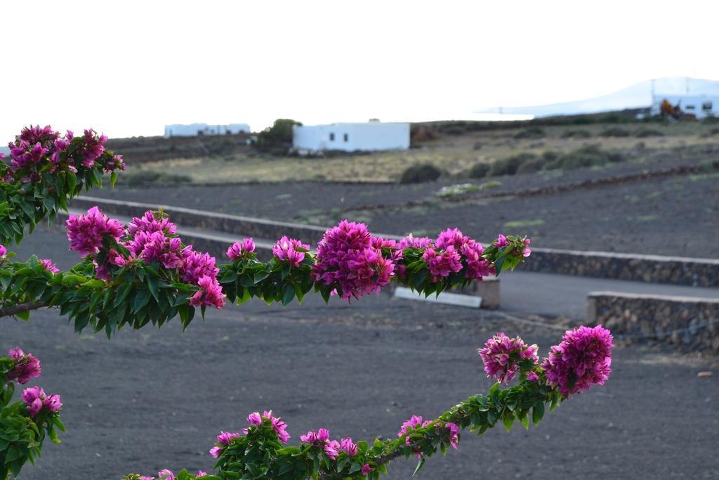 La Finca