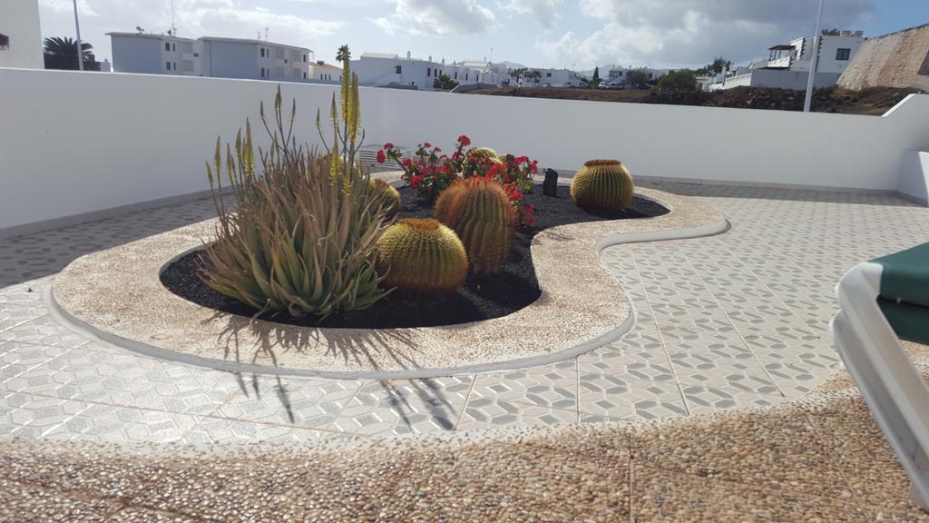 Panelo Cactus * Puerto del Carmen (Lanzarote)
