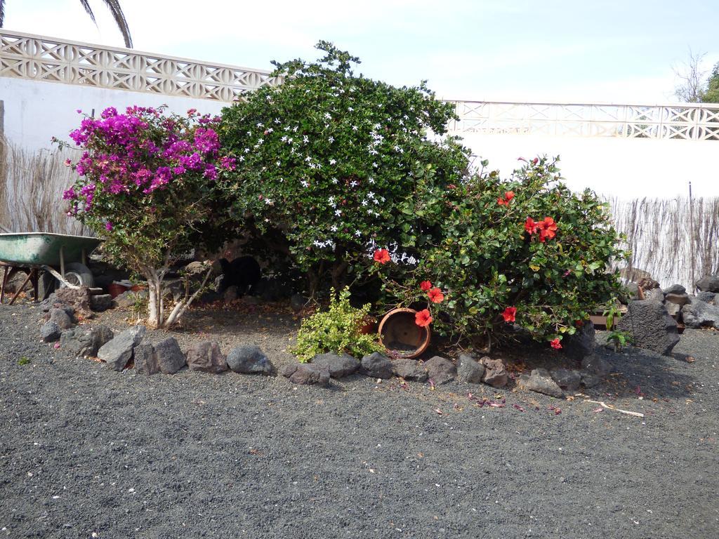 Casita De Gato Сasa de vacaciones