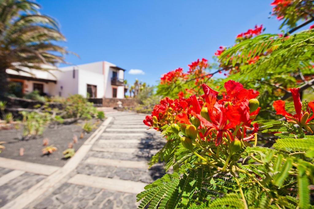 Casa El Morro Casa rural
