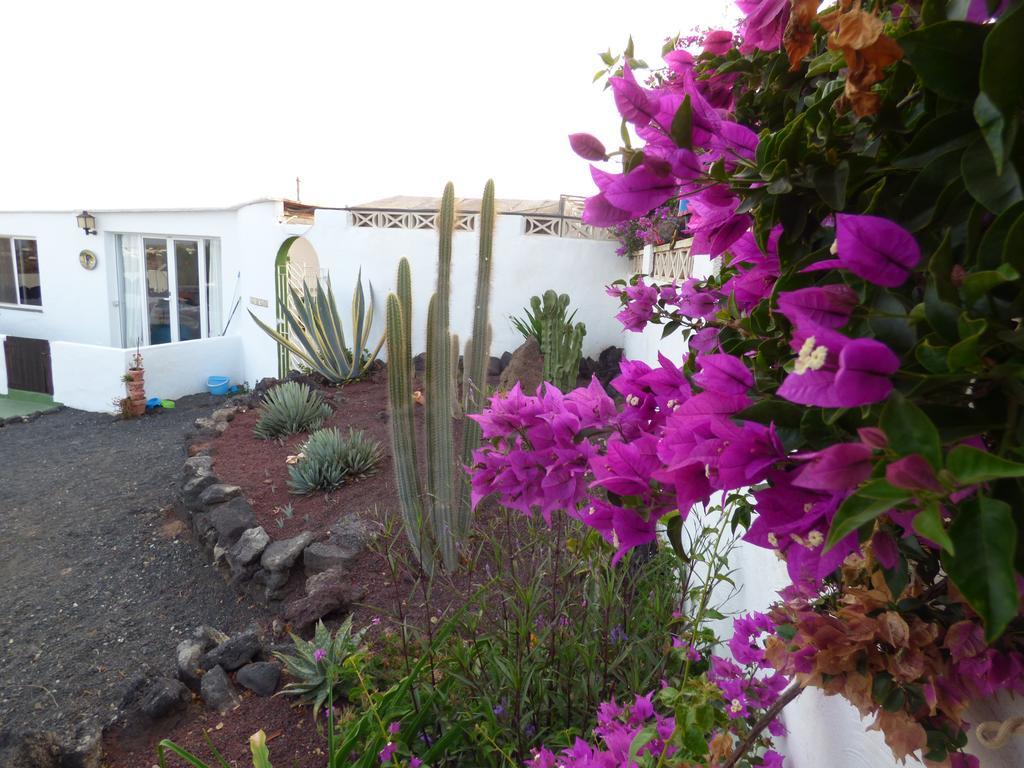 Casita De Gato Сasa de vacaciones *