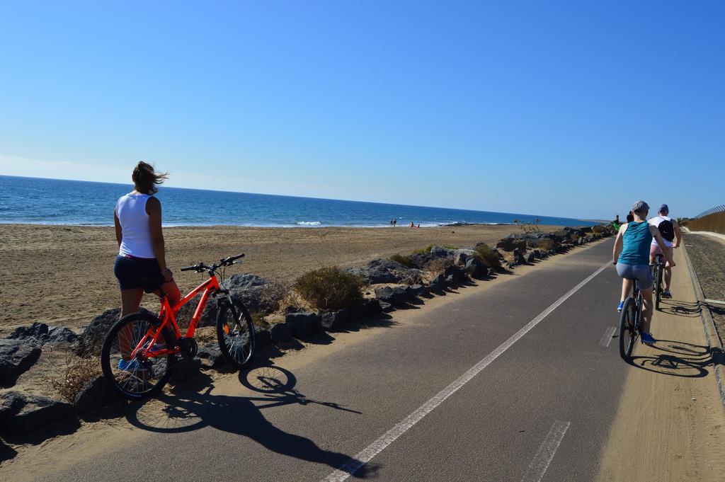 Daida Loft Arrecife (Lanzarote)