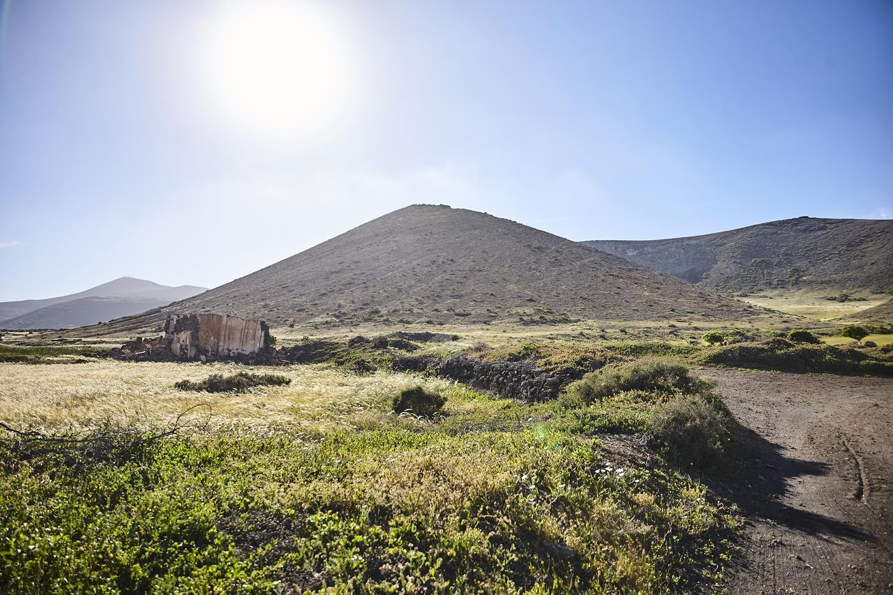 Palmeras Canarias Country house Uga