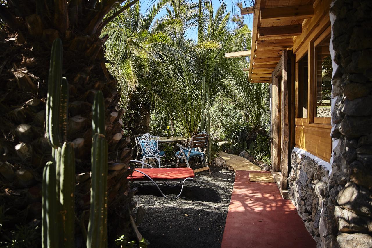 Palmeras Canarias