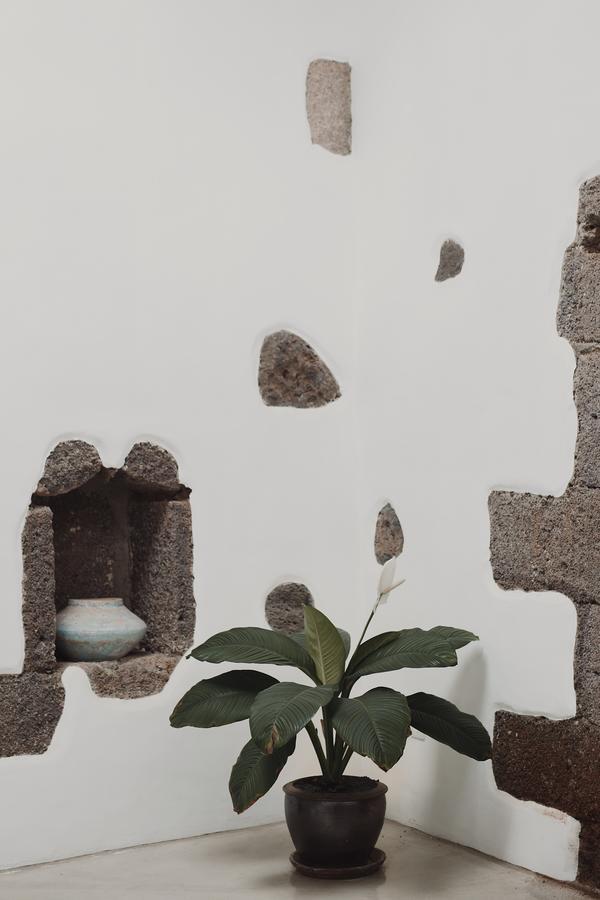 Hotelito Rural Flor De Timanfaya * Tinajo
