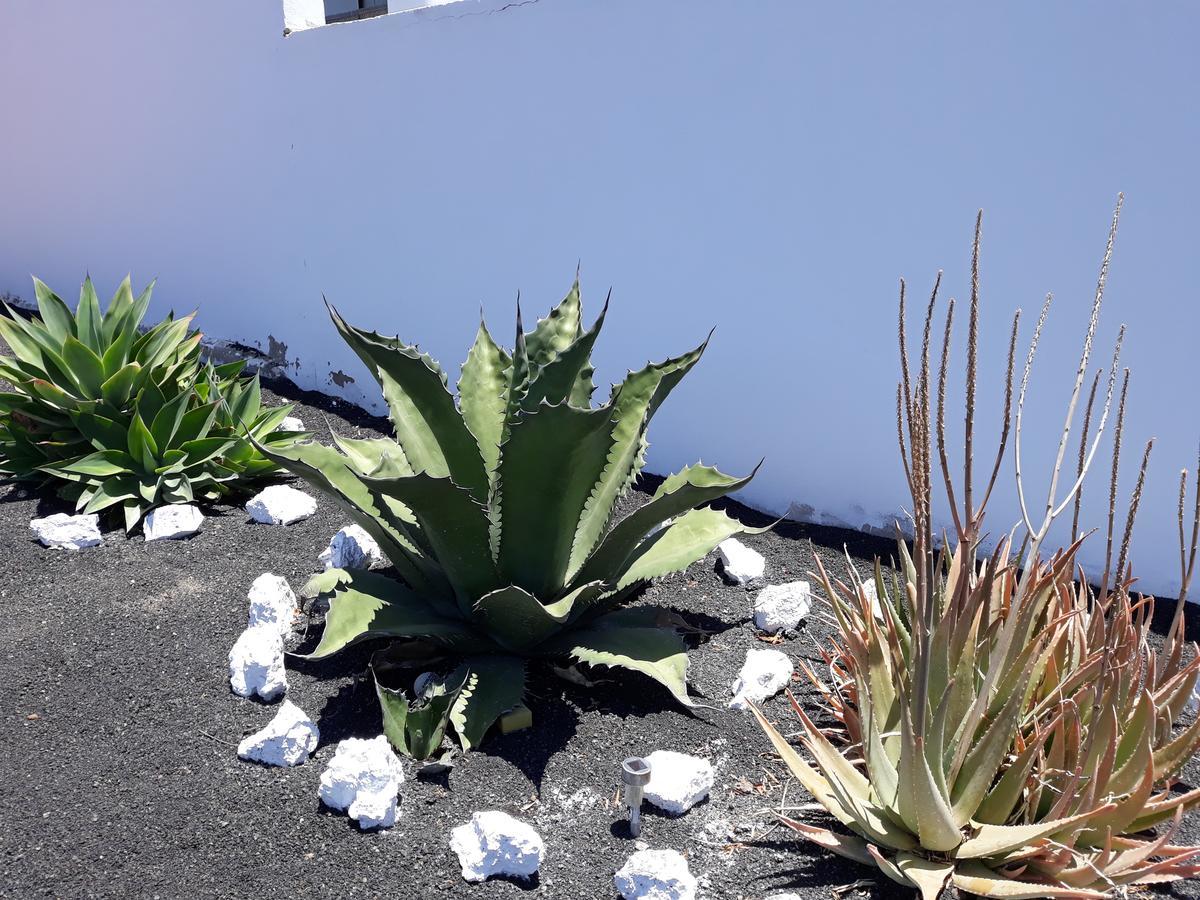 Loft La Tahonilla *