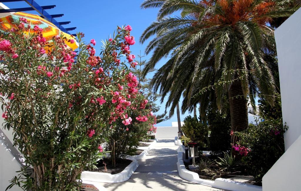 Playamar Apartamento *