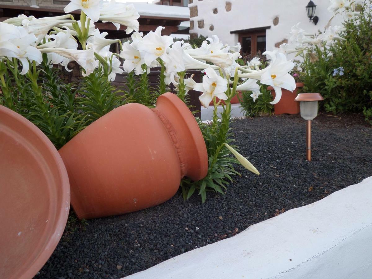 Country house De Abuelos