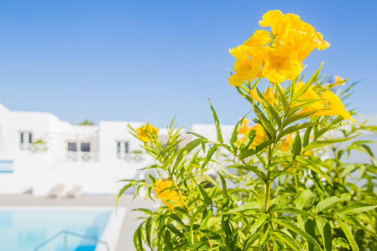 Apartamento Flower 6