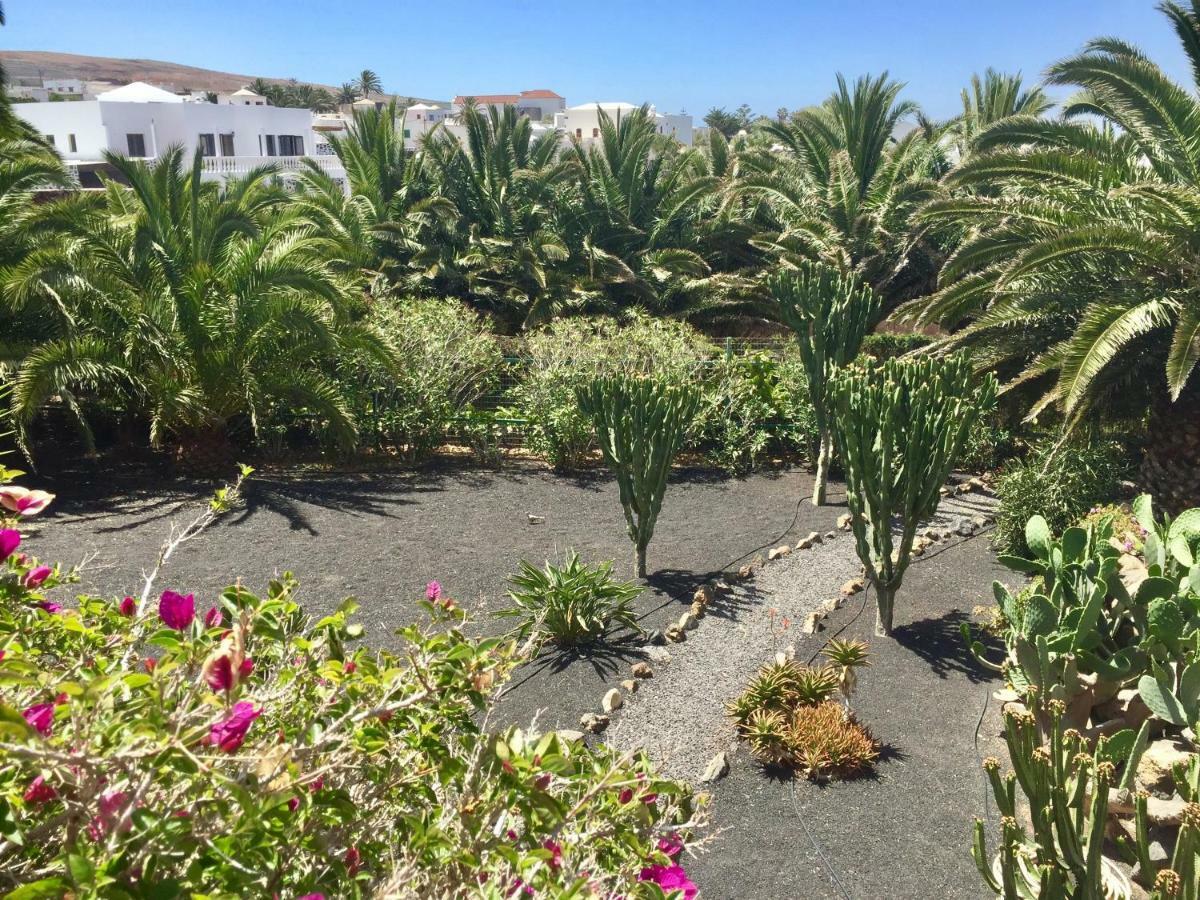 Casa Panama,in Der Mimosa * Teguise (Lanzarote)
