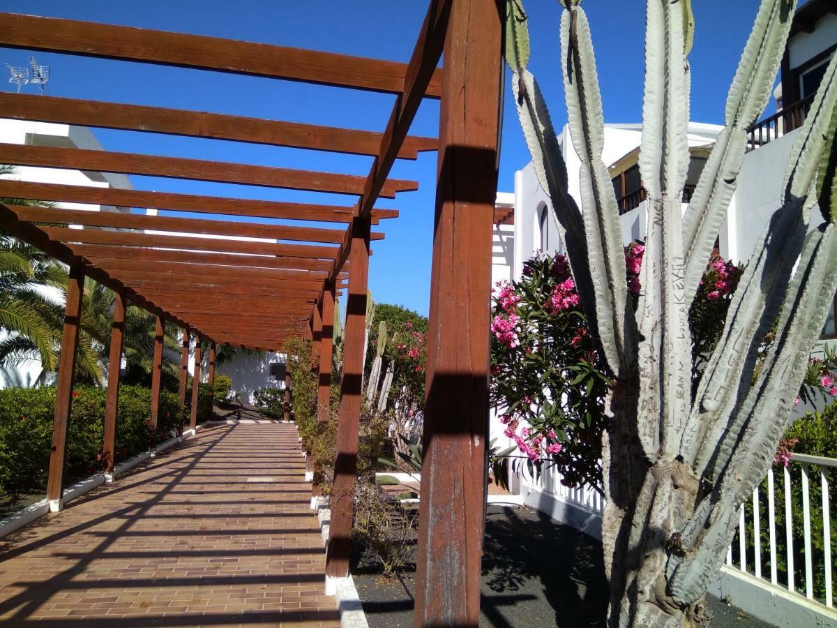 Pistachio Lanzarote