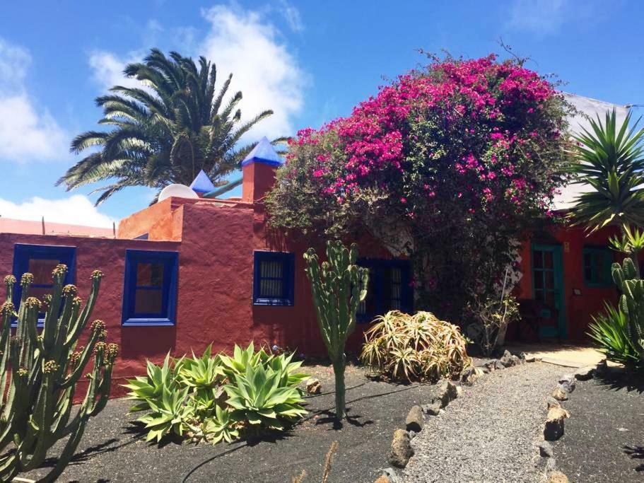Casa Panama,in Der Mimosa Teguise (Lanzarote)