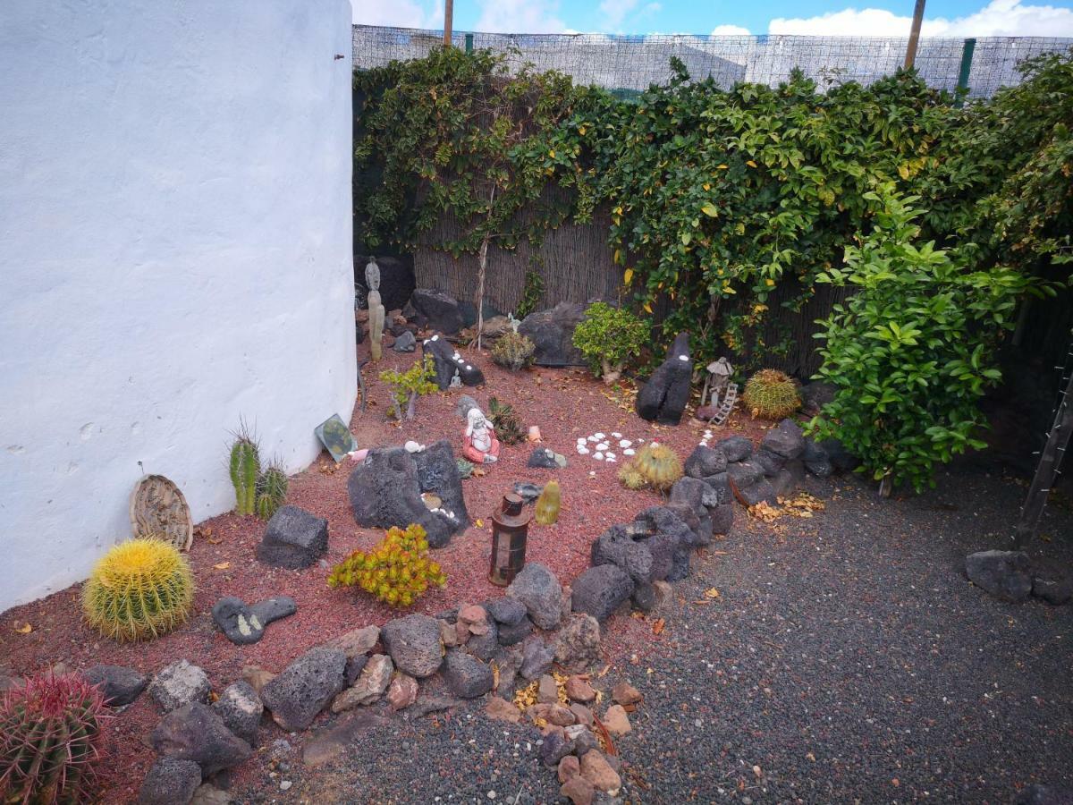 Casita De Gato