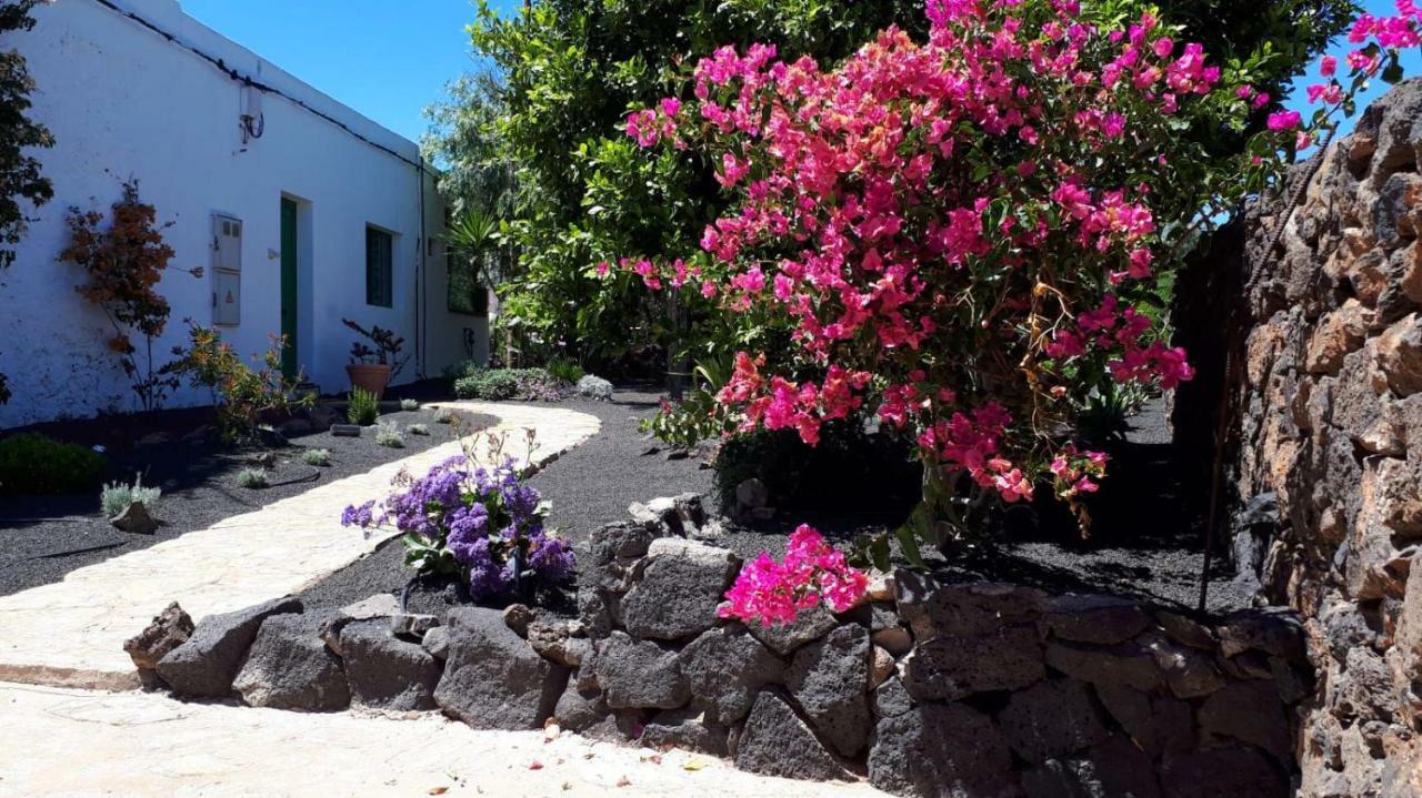 Casa Tara