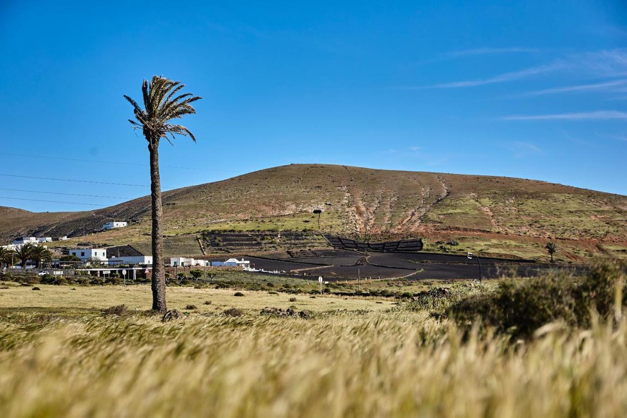 Country house Palmeras Canarias