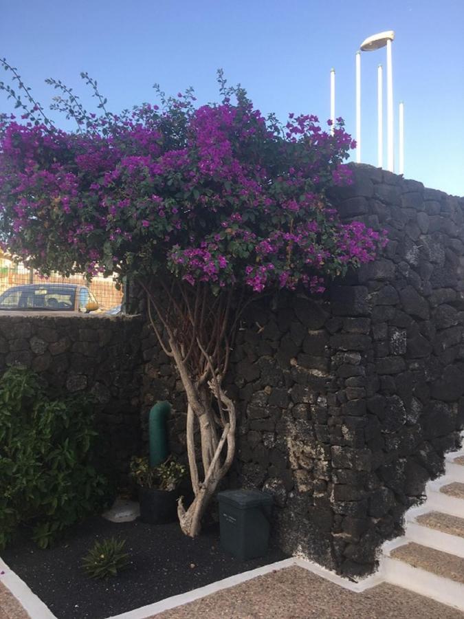 Buddha Zen Puerto del Carmen (Lanzarote)