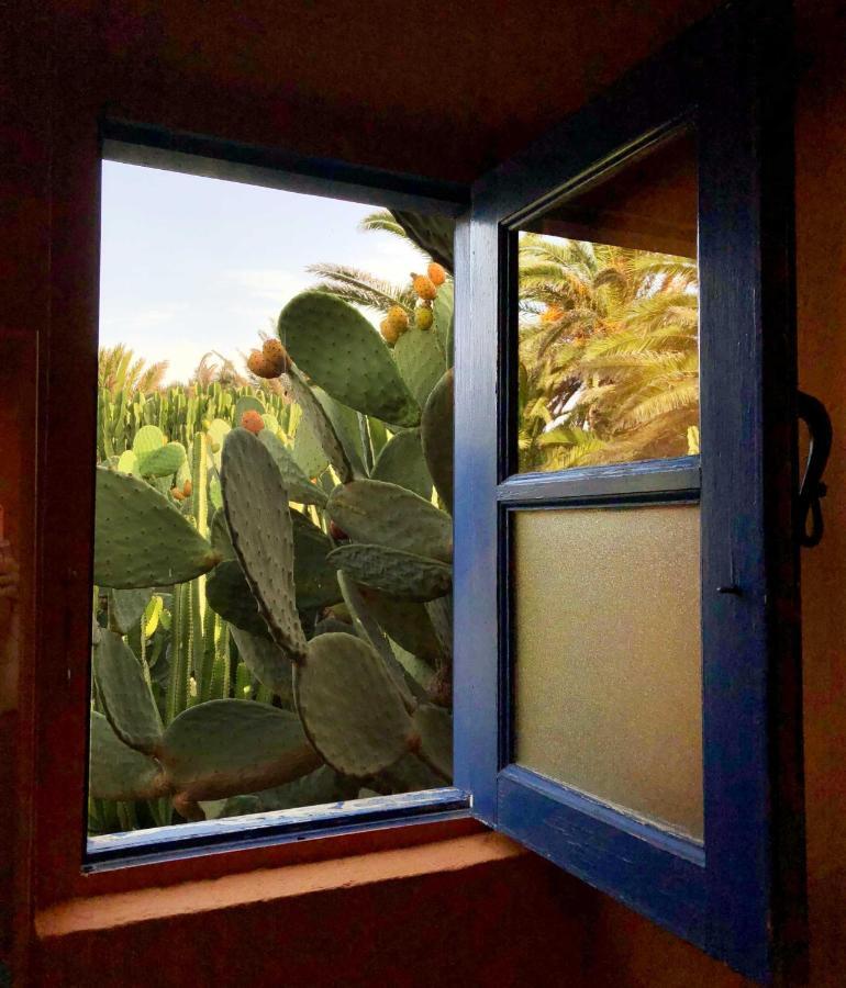Casa Panama,in Der Mimosa Teguise (Lanzarote)