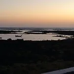 Ocean Sunshine