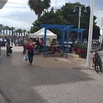 La Casa De Las Palmeras