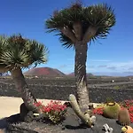 Los Dragos