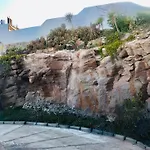 Aloe Suite
