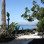 Estelai