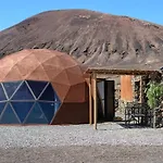 Tara Domo