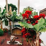 La Palmera - Fabulosa Casa, Lanzarote, Playa Honda